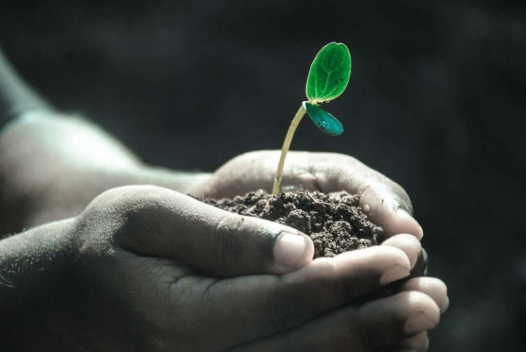 Grow