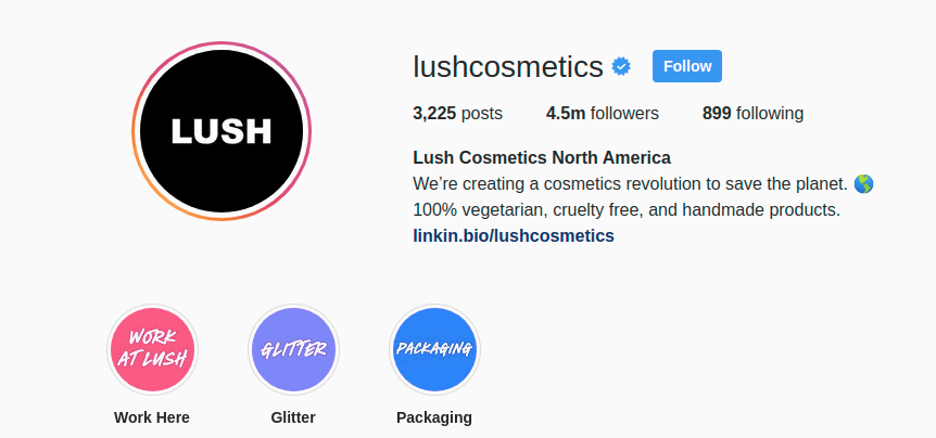 Lush Cosmetics Brand